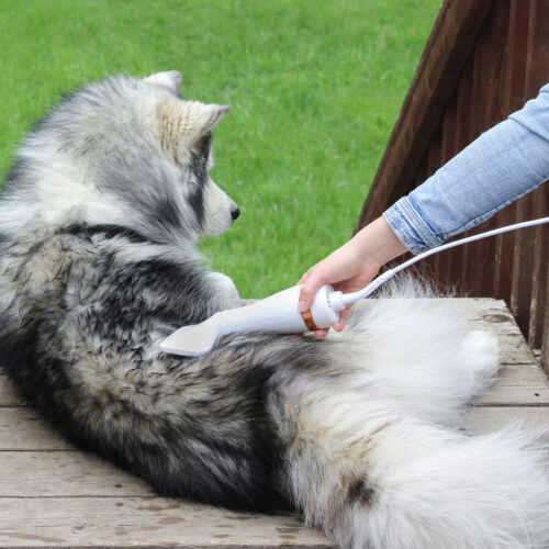 Secador Pet 3 em 1: Secagem, Escovação e Desembaraço Perfeito para Cães
