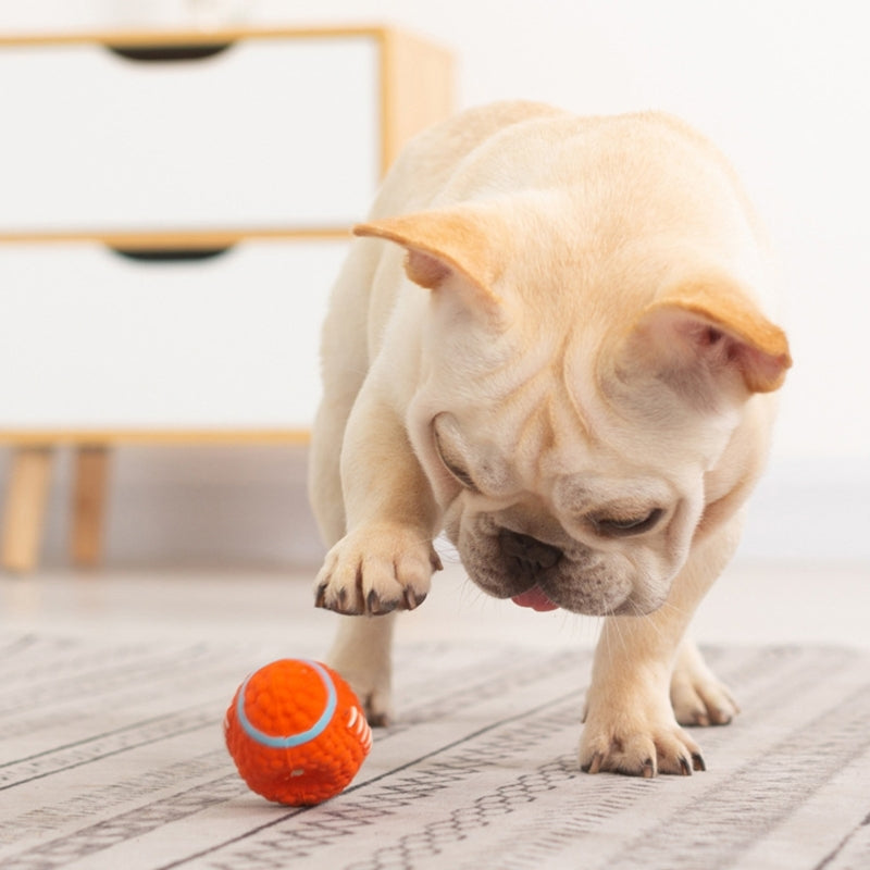Brinquedo Bola Super Resistente para Pets com Costura Super Reforçada
