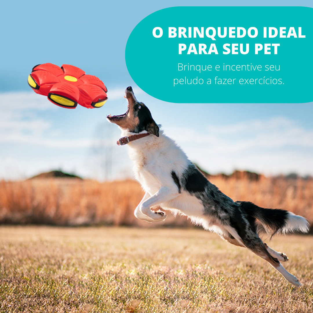 Pet Ball - Brinquedo Interativo para Cachorros