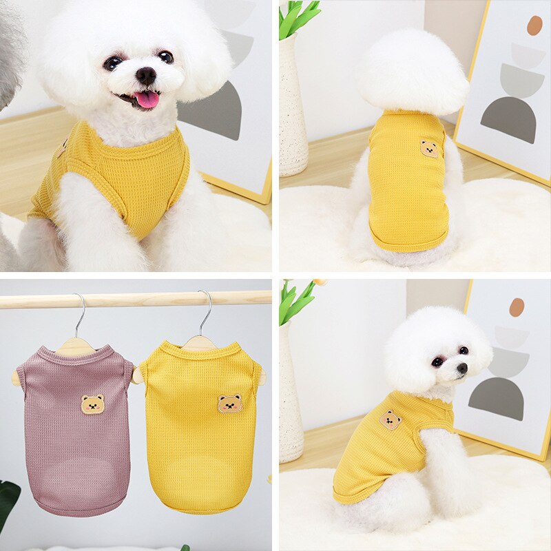 Colete Little Bear