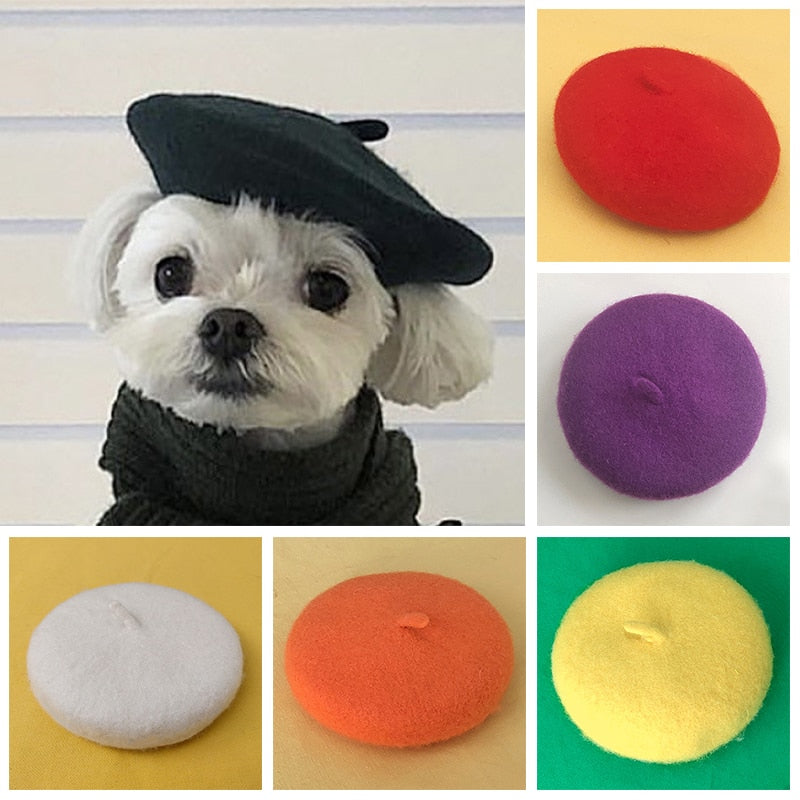 Boina Pet | Para Cachorro e Gato