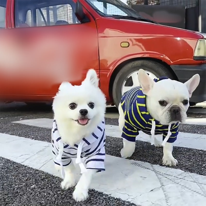 Agasalho Pet Style | Para Cachorro