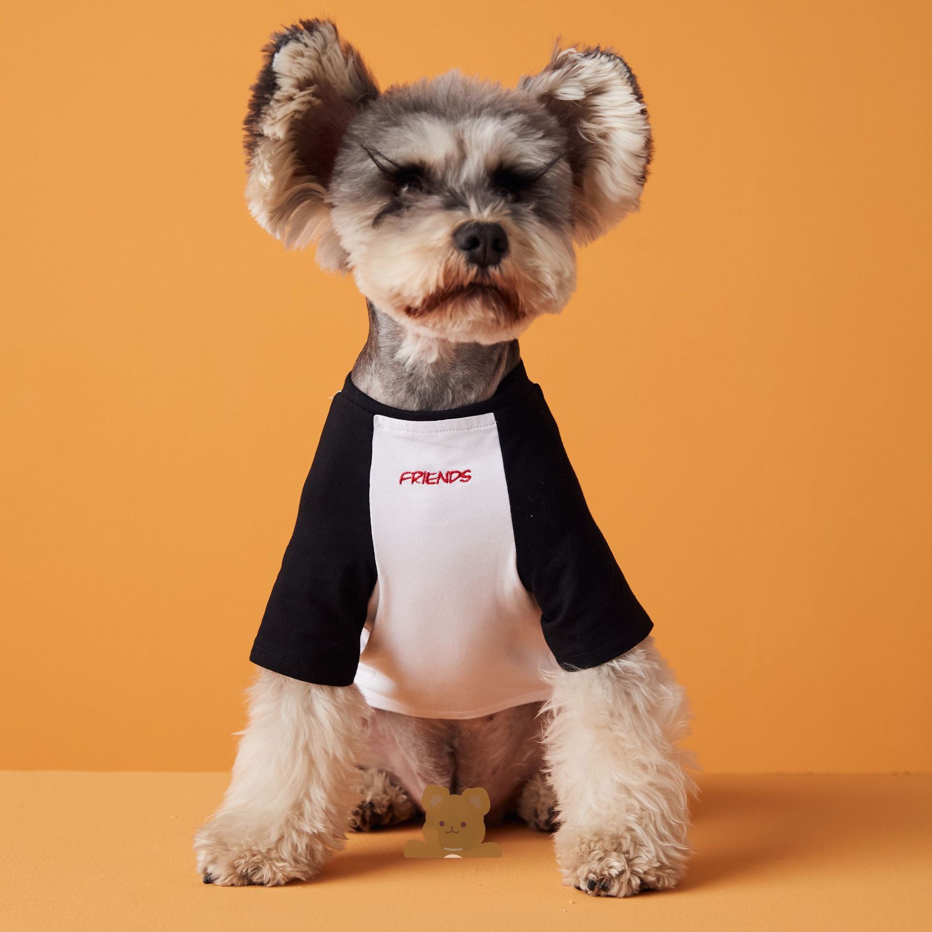 Blusa Pet Friend