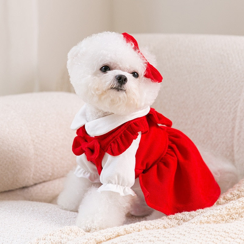 Look Princesa Mia - 3 em 1 | Vestido para Cães