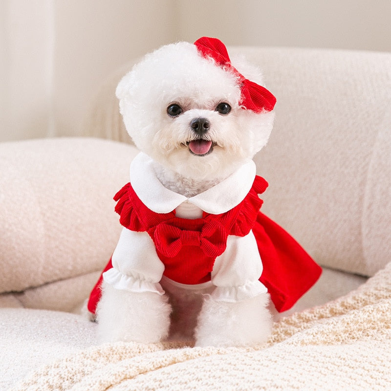 Look Princesa Mia - 3 em 1 | Vestido para Cães