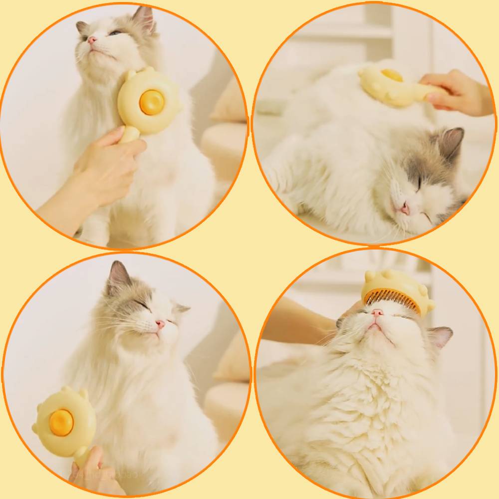 PeloFree - Escova Mágica para Pets