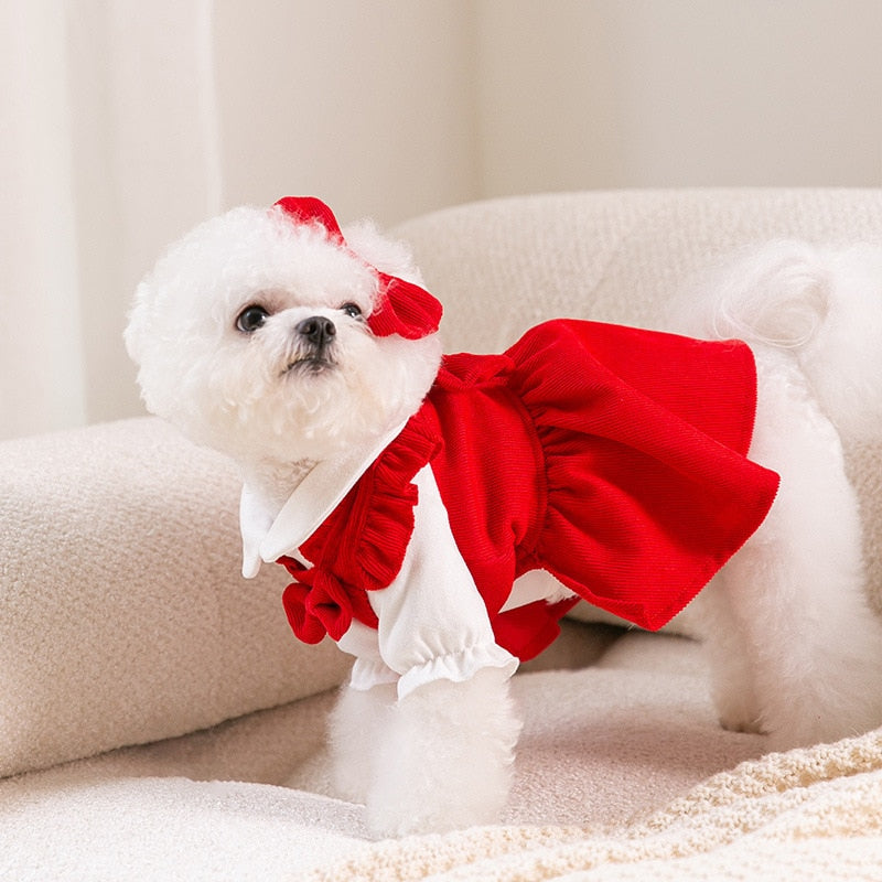 Look Princesa Mia - 3 em 1 | Vestido para Cães