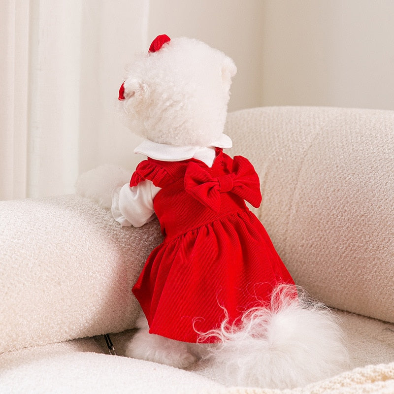 Look Princesa Mia - 3 em 1 | Vestido para Cães