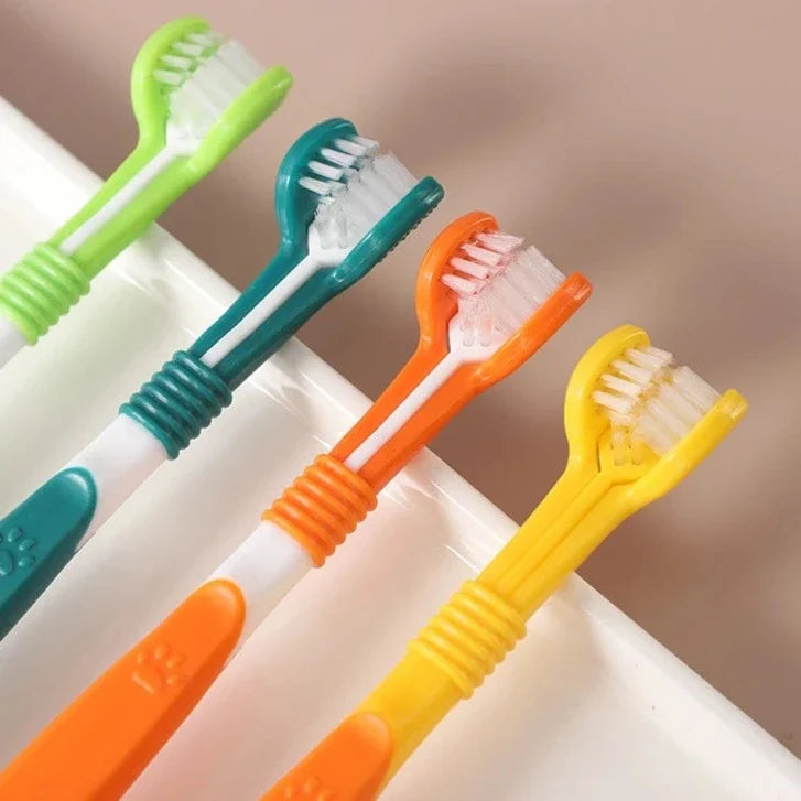 Escova de Dente para Pet Cabeça Tripla WePetz - Compre 1 Leve 4
