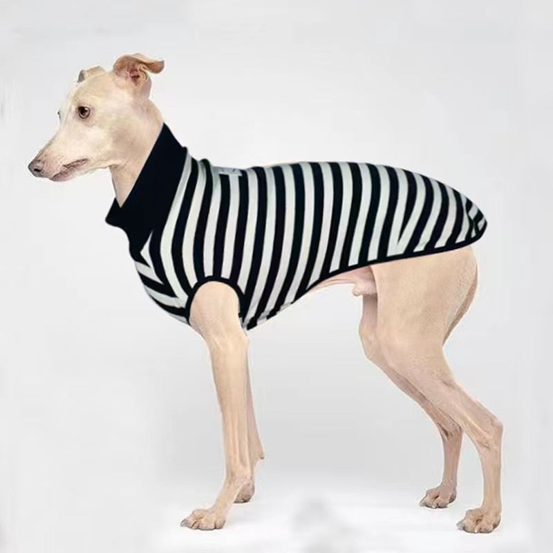 Blusa Pet Lutcho
