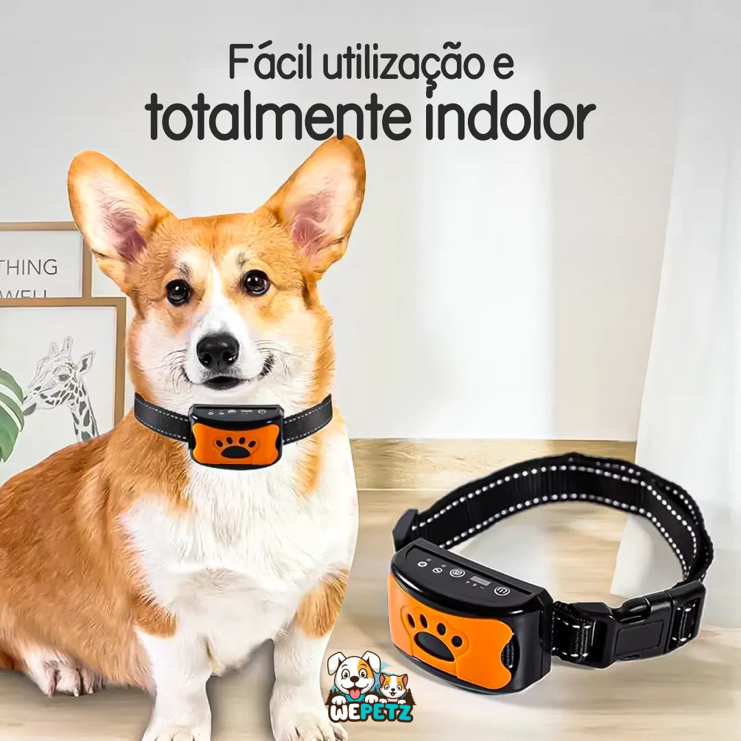 Sweet Dog - Coleira Antilatido Educativa Sem Choque + Brinde