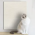 Carpete Adesivo Protetor para Unha de Gatos