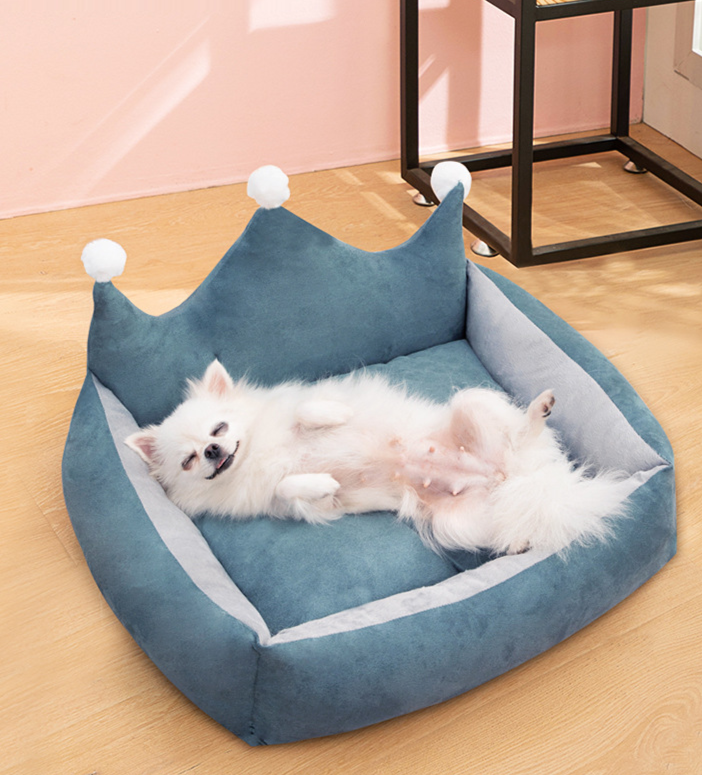 Cama Reinando | Para Cachorro e Gato